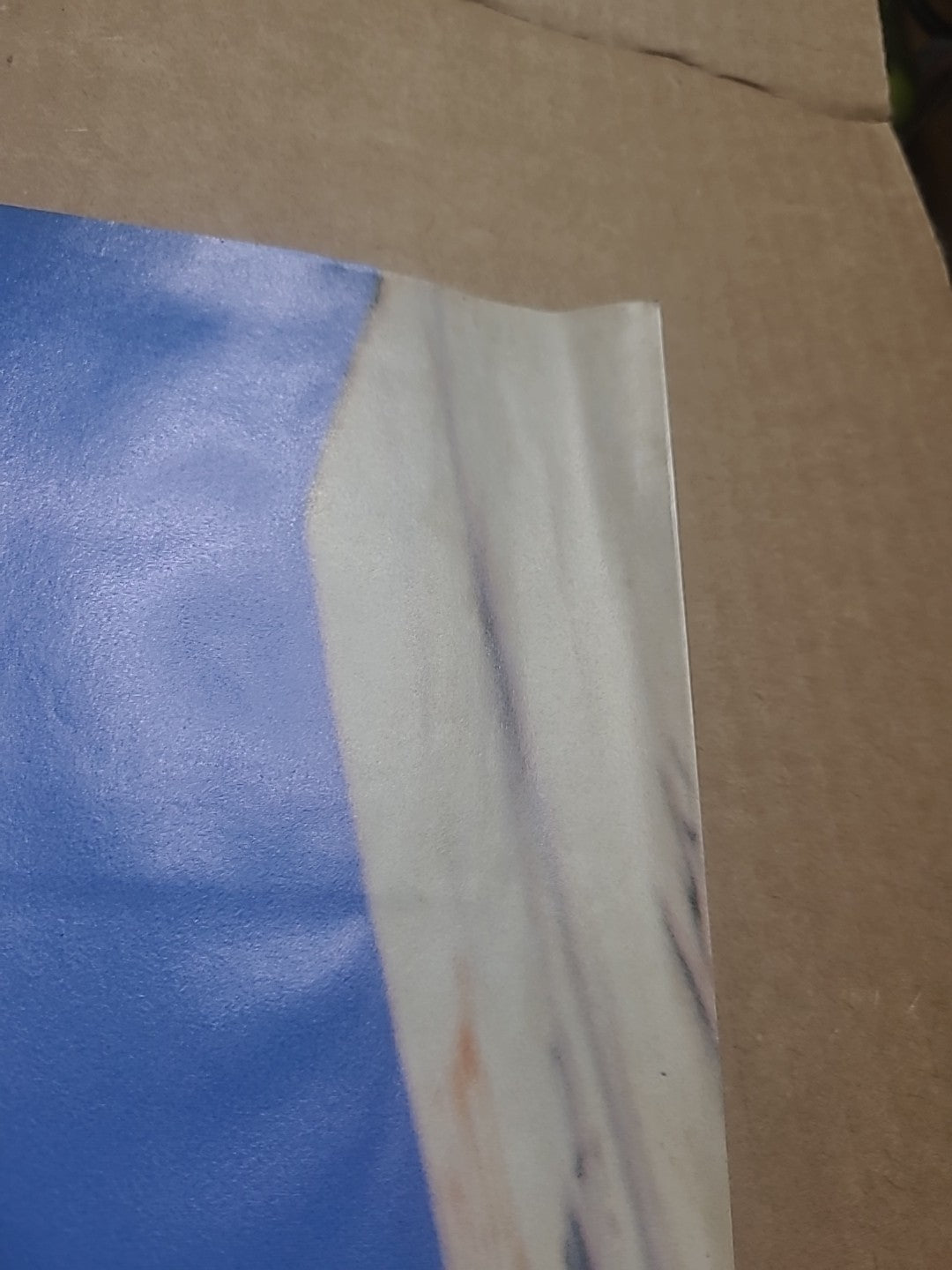 Matt Hensley Poster from 1991 Transworld Skateboarding Magazine Poster Book