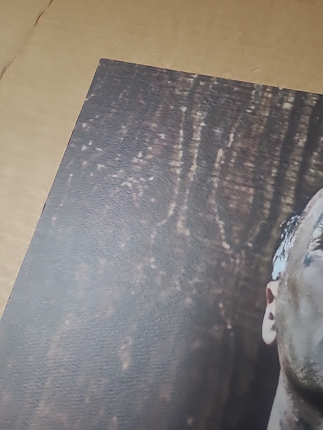 Jay Adams 100% Skateboarder Print By Pep Williams - Limited Signed Print