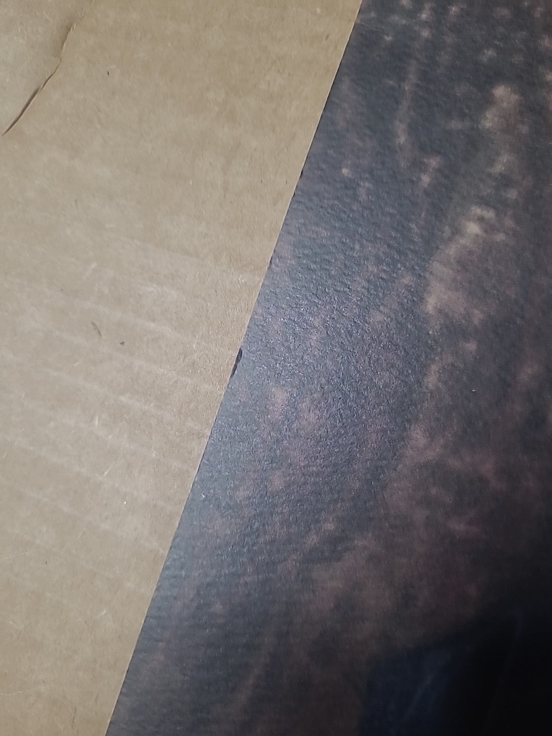 Jay Adams 100% Skateboarder Print By Pep Williams - Limited Signed Print