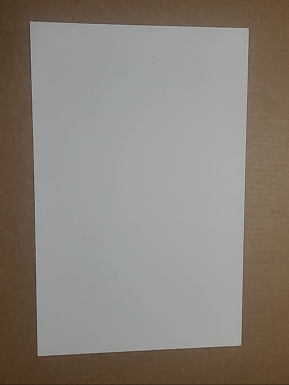 Jay Adams 100% Skateboarder Print By Pep Williams - Limited Signed Print