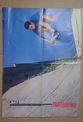 Matt Hensley Poster from 1991 Transworld Skateboarding Magazine Poster Book