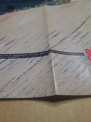 Matt Hensley Poster from 1991 Transworld Skateboarding Magazine Poster Book