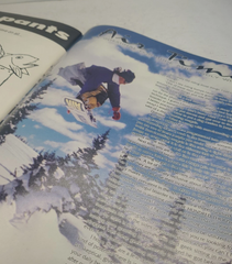 Concrete Powder #5 - 1990's Skateboard / Snowboard Magazine