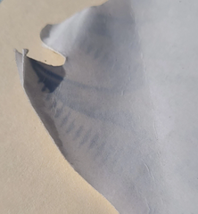 Vintage Powell Peralta Ripper Large Skateboard Ramp Sticker - 12"