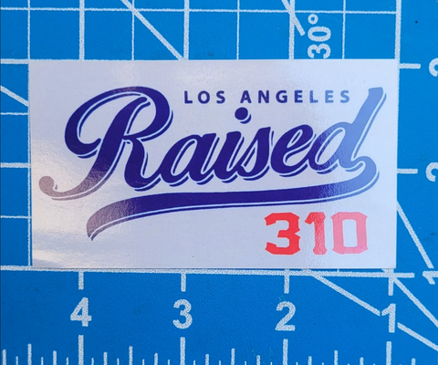 Los Angeles RAISED 310 Sticker