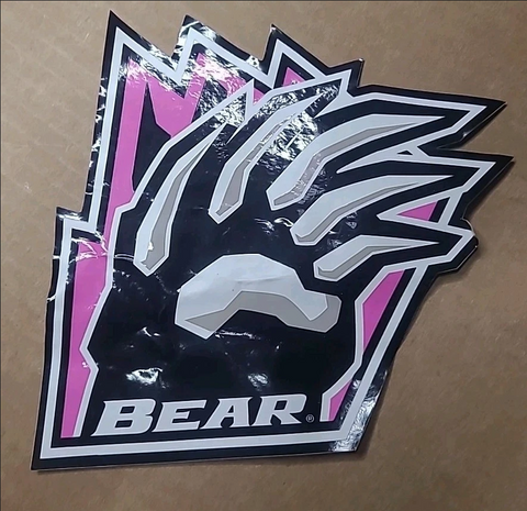 Vintage Big Bear Mountain Resort Pink Claw Snowboarding STICKER - 7"