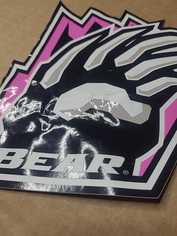Vintage Big Bear Mountain Resort Pink Claw Snowboarding STICKER - 7"