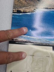 1992 Surfing Magazine Calendar - Dream Girls